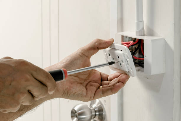 Best Surge Protection Installation  in Morenci, MI